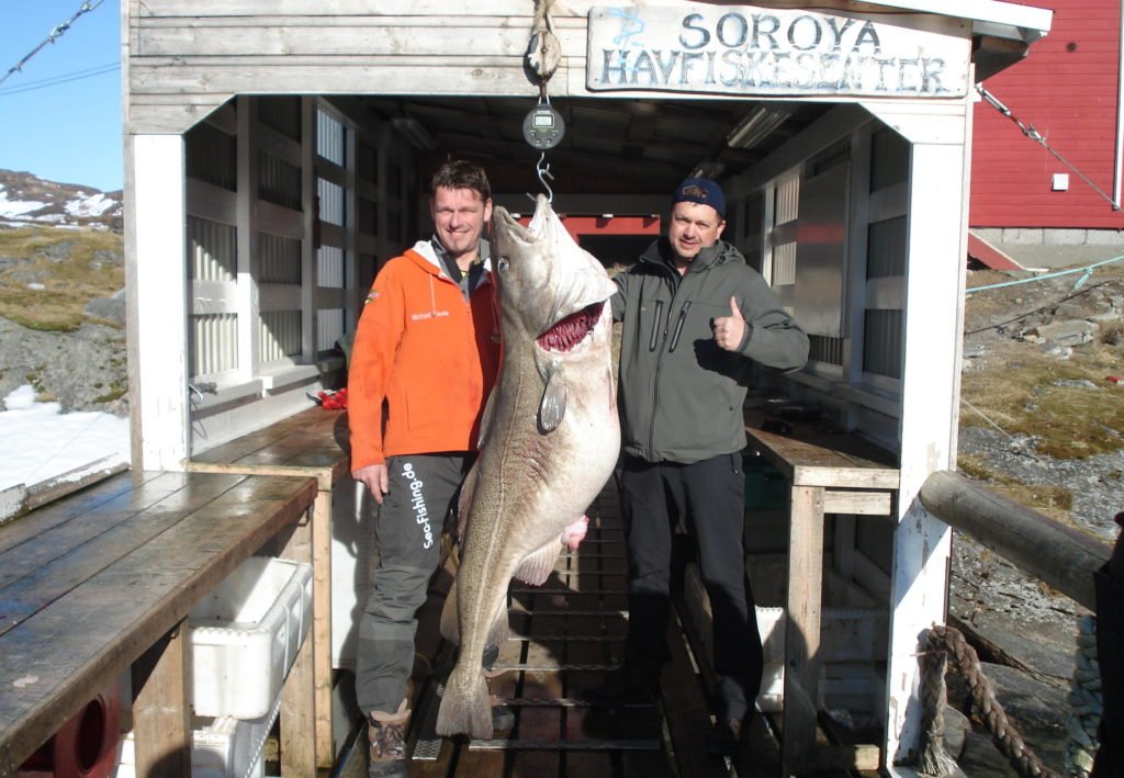 Мировой рекорд - Треска 47 кг на базе Soroya Havfiskesenter Михаэл Эйзел (Michael Eisele) 2